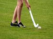 Crocket Spieler