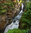 torrent