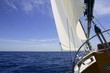 Sailboat sailing blue sea on sunny summer day Sailboat sailing blue sea on sunny summer day