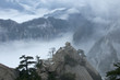 Hua Shan in a sea of clouds