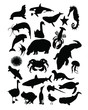 Aquatic Animals Silhouette Collection Aquatic Animals Silhouette Collection