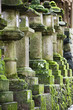 Japan, Mara, Row of stone lanterns in garden