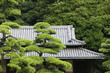 Photo: Japan, Tokyo, Tokyo Imperial Palace, Rooftop of Otemon East Gate seen through trees Japan, Tokyo, Tokyo Imperial Palace, Rooftop of Otemon East Gate seen through trees