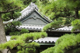 Foto: Japan, Tokyo, Tokyo Imperial Palace, Rooftop of Otemon East Gate seen through trees Japan, Tokyo, Tokyo Imperial Palace, Rooftop of Otemon East Gate seen through trees