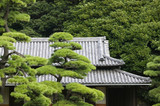 Foto: Japan, Tokyo, Tokyo Imperial Palace, Rooftop of Otemon East Gate seen through trees Japan, Tokyo, Tokyo Imperial Palace, Rooftop of Otemon East Gate seen through trees