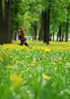 Spring park