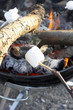 Marshmallow