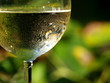 Weißwein1