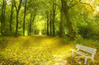 Romantischer Park im Herbst mit Bank