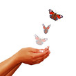 Flieg! Schmetterling! Flieg!