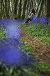 Woman Picking Wildflowers