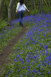 Woman Walking on a Path