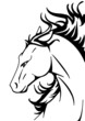 Pferd