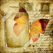 vintage photoalbum pages with butterfly vintage photoalbum pages with butterfly