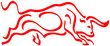 Toro Cataluna 2