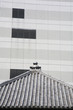 traditional and modern architecture in tokyo
