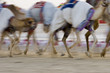 Photo: dubai uae blurred motion of camels running during training at nad al sheba camel racetrack dubai uae blurred motion of camels running during training at nad al sheba camel racetrack