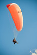fly