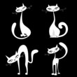 cartoon cats vector cartoon cats vector