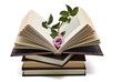 Lectura y fragancia.