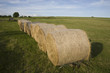 hay bales on green field