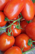 Tomates 