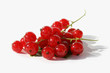 Johannisbeeren