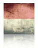 grunge flag of monaco with shadow