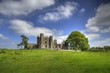 Bective Abbey - Irlands Festungen