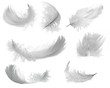 seven white feathers