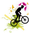 vtt dans la nature 2