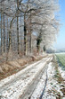 Winter; Wald; Hiver; fort; Frost; paysage; Tuntange; Luxembourg