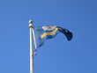 USA navy flag
