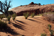 Desert Shadows