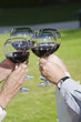 Four people raising toast