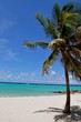 plage caraïbes plage caraïbes