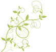 liane courbe vectoriel - ai - tige vert nature sur fond blanc