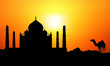 Illustration: Taj Mahal & Camel in Sunlight Taj Mahal & Camel in Sunlight