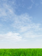 High resolution grass and sky background High resolution grass and sky background