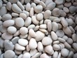 Pebbles on Beach