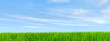 High resolution grass and sky background High resolution grass and sky background