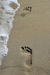 Am Strand