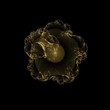 Renaissance Flower