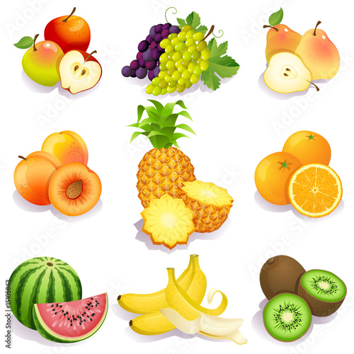 Vector: fruits fruits