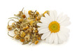 Dried chamomile tea isolated on white background Dried chamomile tea isolated on white background