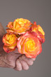 Senior person holding a Bouquet of roses? tequila sunrise