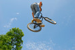High in the sky