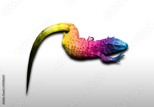 Photo: CMYK Echse CMYK Echse