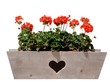 Blumenkasten Blumenkasten