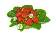 Juicy strawberries isolated on white